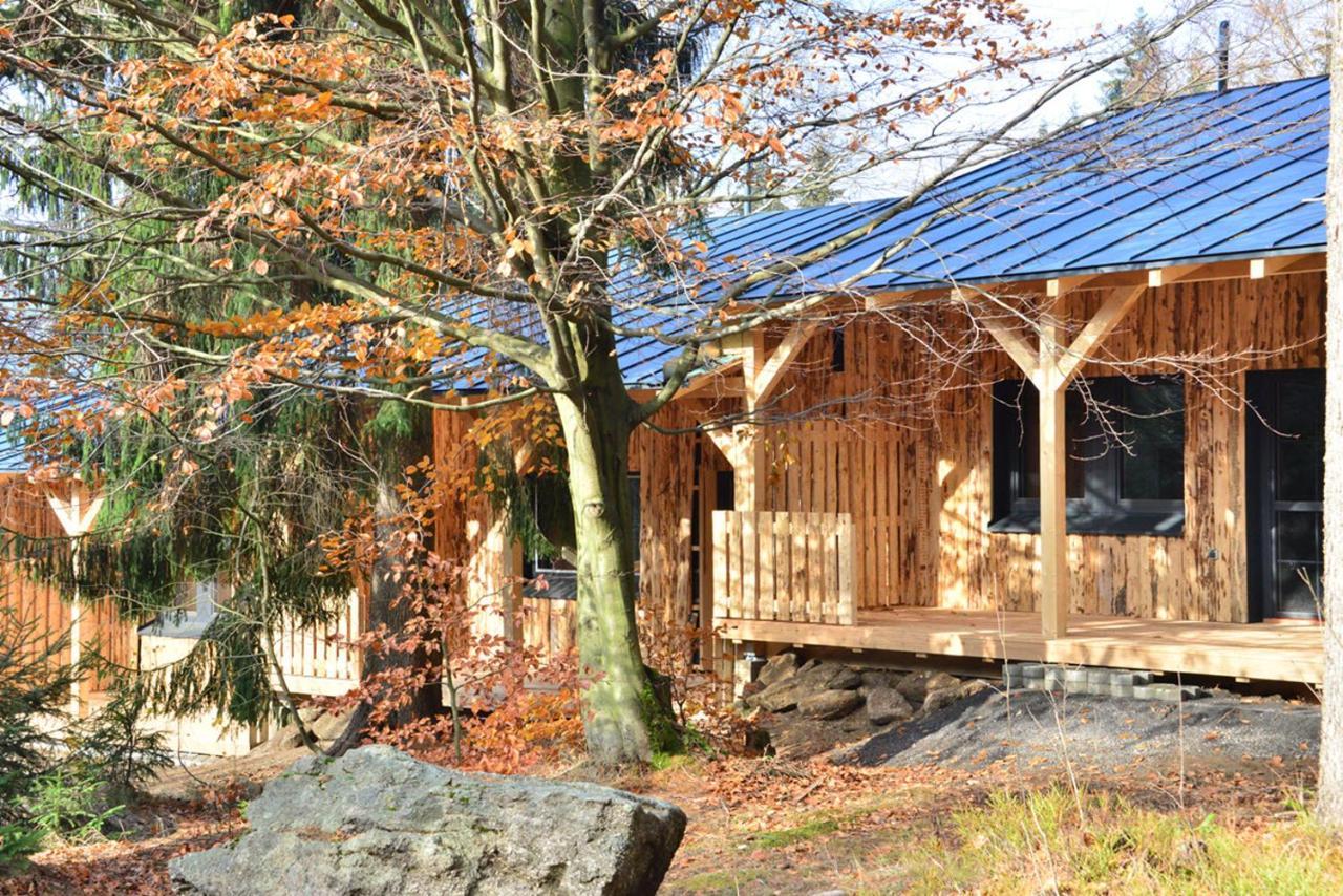 Montanie Resort Десна Экстерьер фото