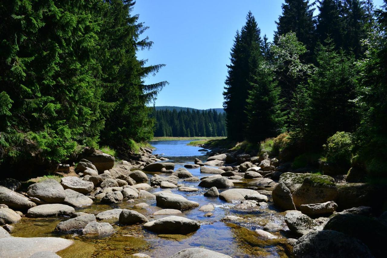 Montanie Resort Десна Экстерьер фото